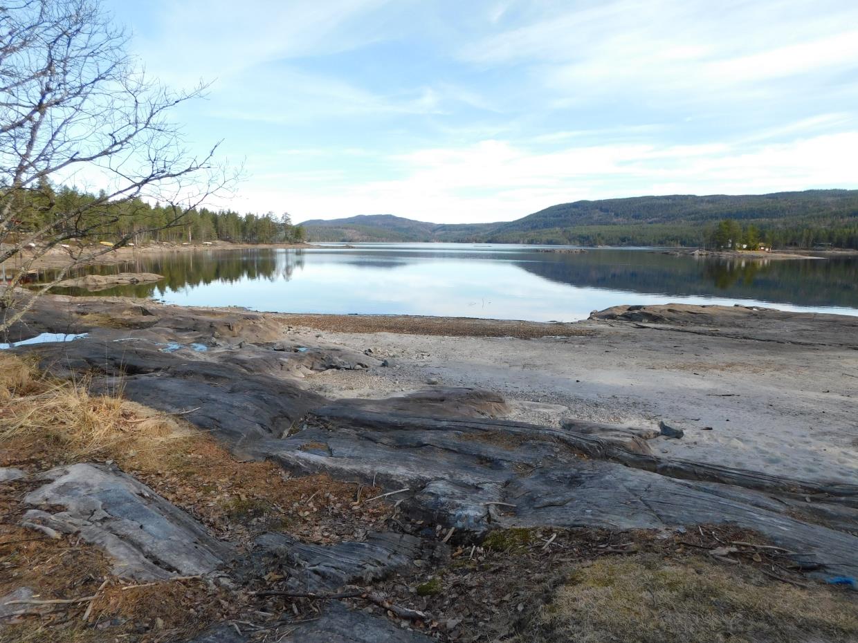 Torsdag 23.04.20 Fottur Samsjøen Ringerike.