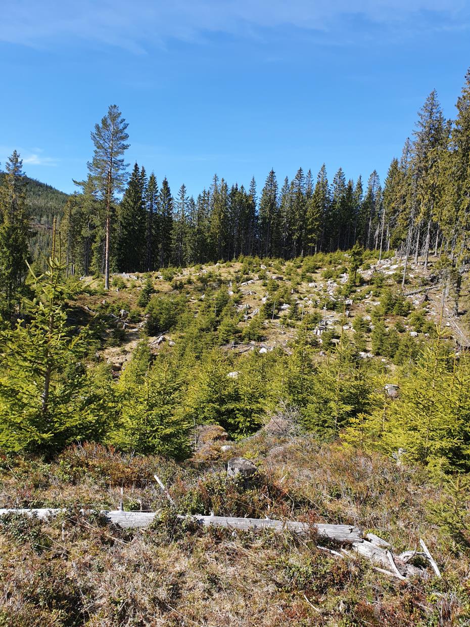 Onsdag 13.05.20 Fottur Brovoll - Avalsjøen. Romeriksåsen.