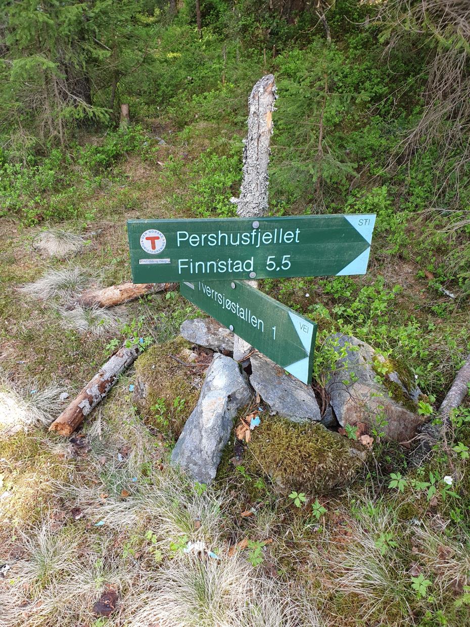 Torsdag 04.06.20 Pershusfjellet - Pershusvannet. Jevnaker Kommune Viken.