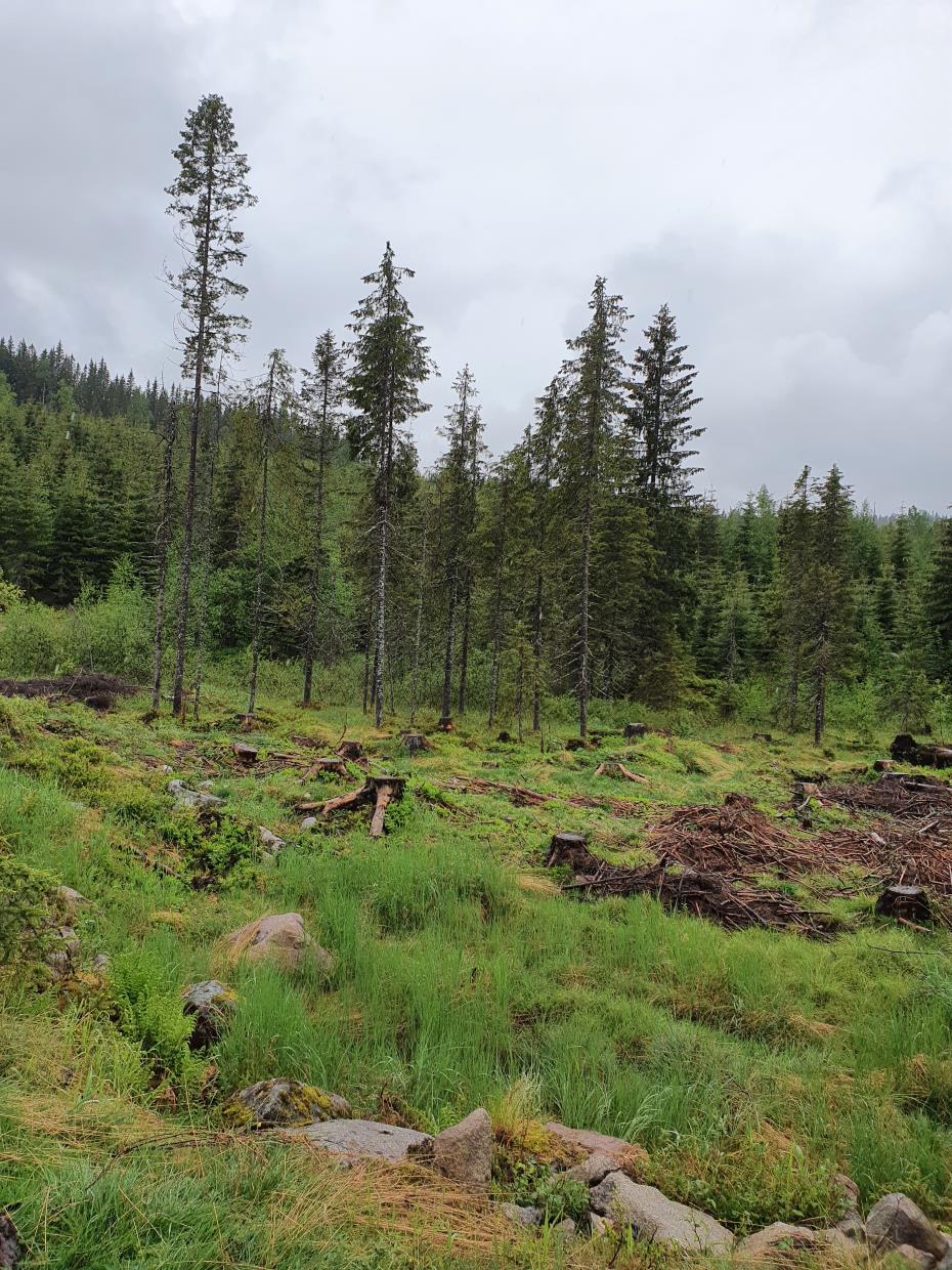 Lørdag 06.06.20 Tur til Fjellsjøen Lunner Kommune