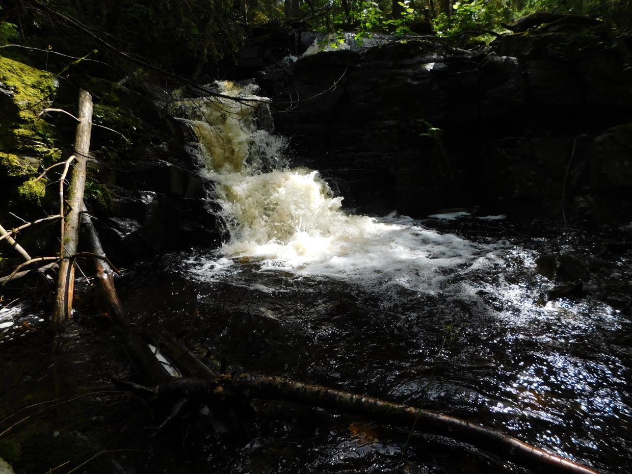 Onsdag 15.07.20 Tiurtoppen og Djevelens punsjebolle Krokskogen Ringerike.