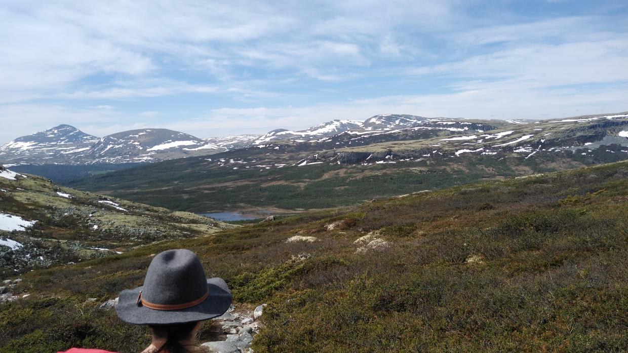 Sålekinna - 1591 m.o.h