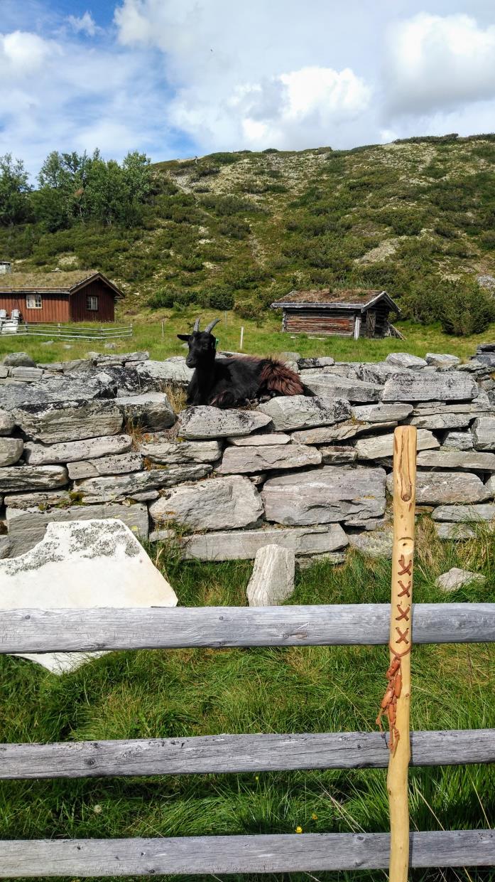 Rausjødalen Setermeieri