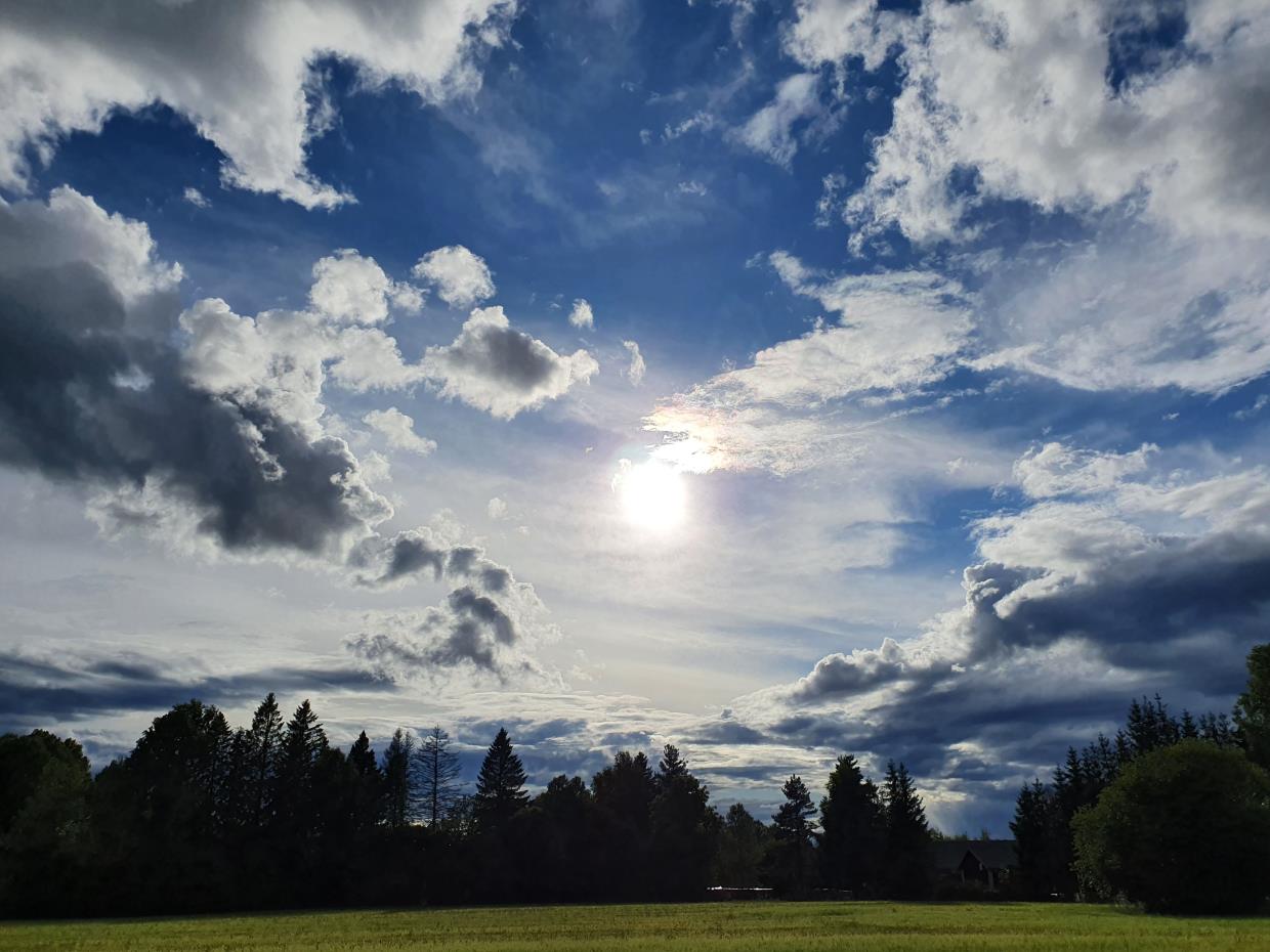 Mandag 20.07.20 Ravinedal ved Gardermoen OSL.