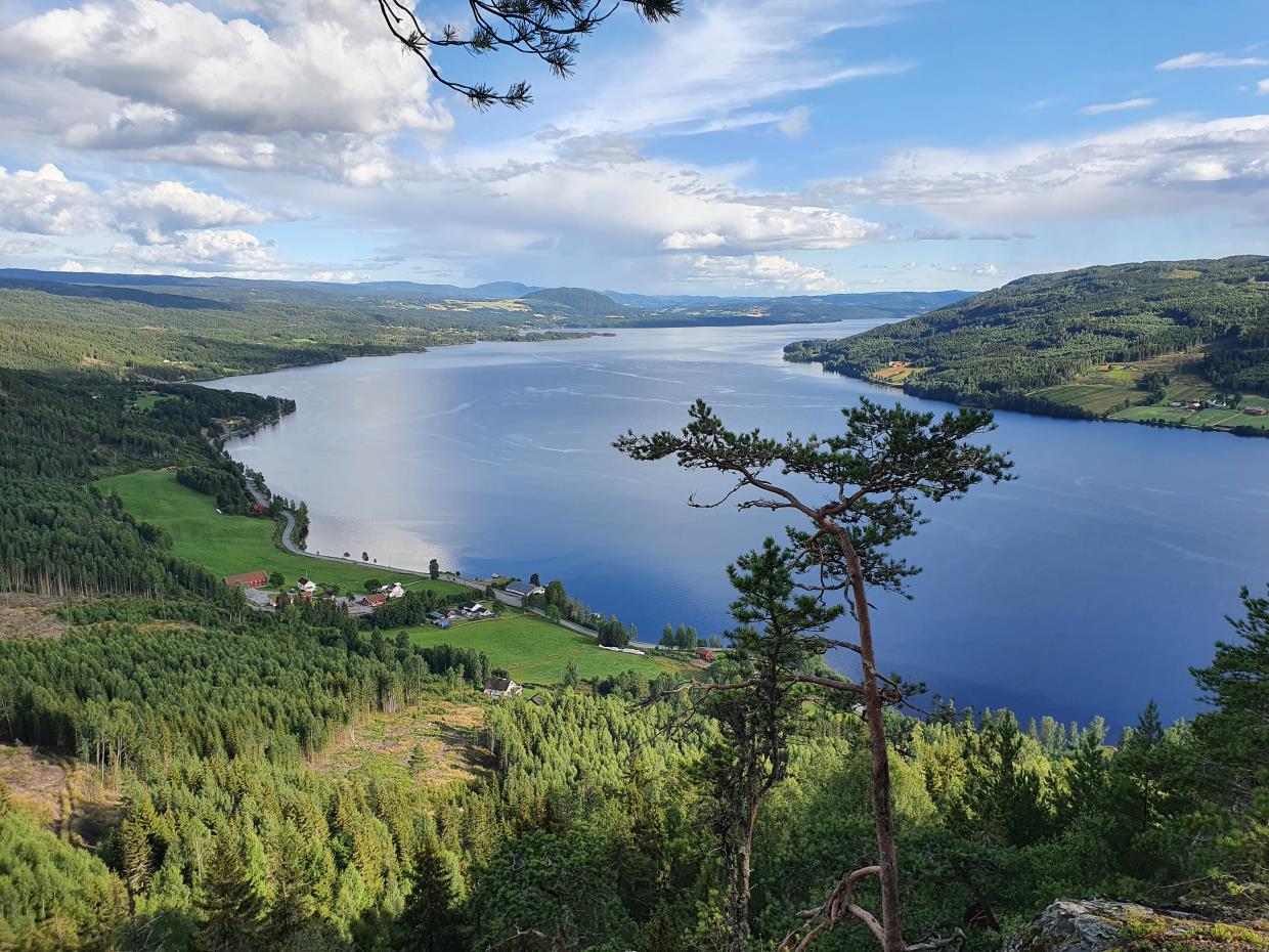 Torsdag 30.07.20 Hornskleiva - Høkleberget