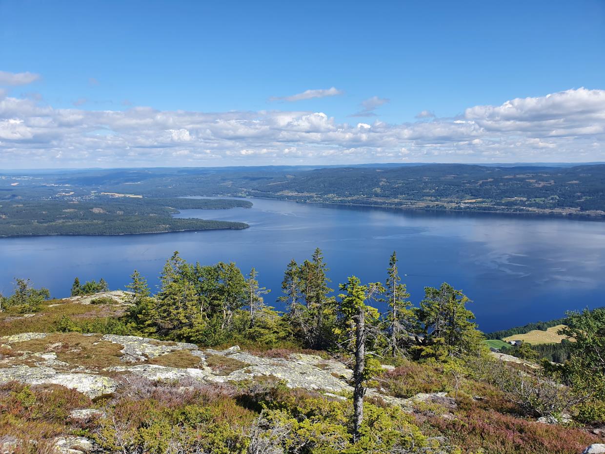 Fredag 31,07.20 Skreikampen Feiring 