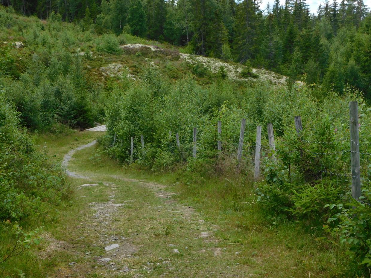 Lørdag 01.08.20 Lygnasæter (Lygna) Gran Kommune Innlandet.