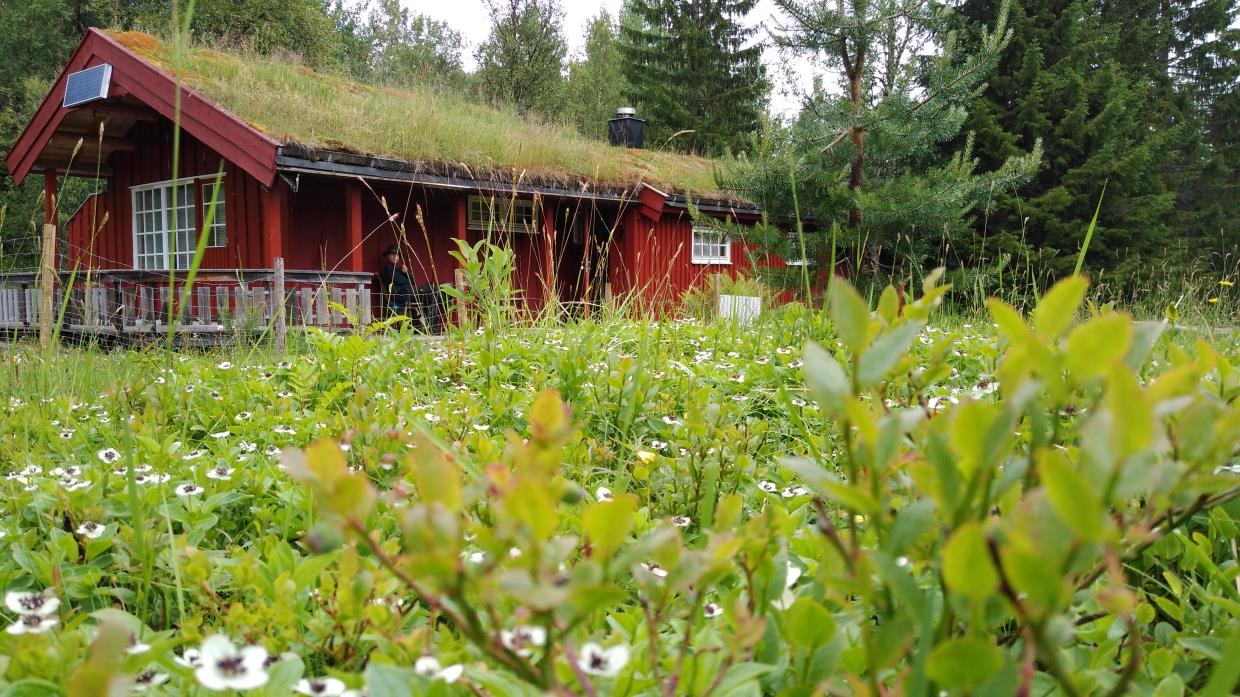 Ånvatnet - Røkland - Saltdalen