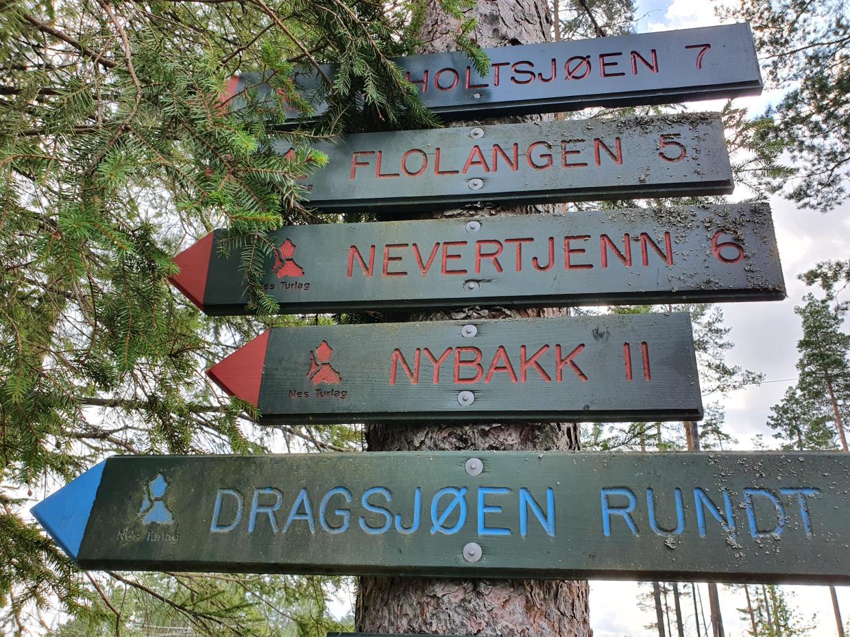 Mandag 10.08.20 Dragsjøen rundt. Årnes, Nes Kommune.