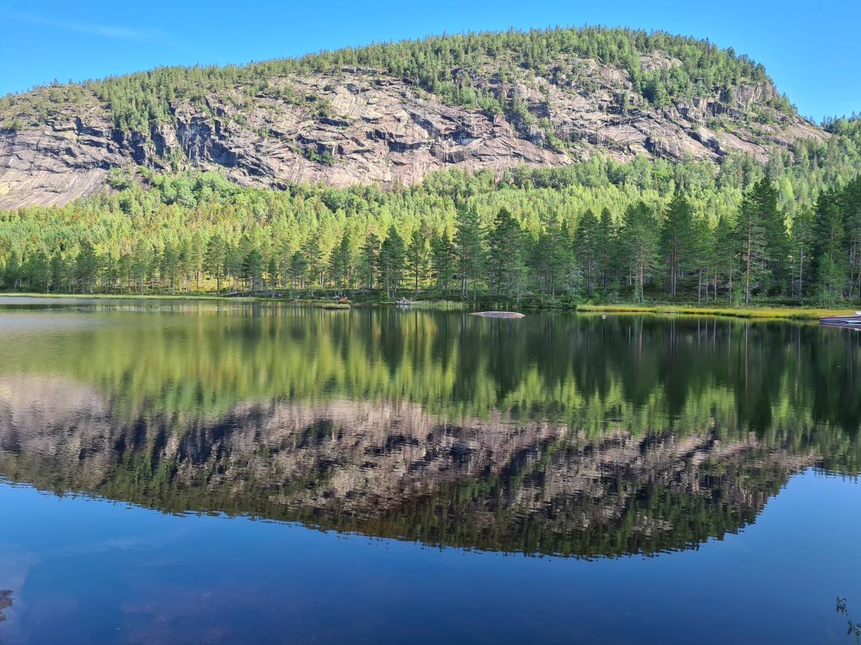 Tirsdag 18.08.20 Andersnatten. Sigdal Kommune.