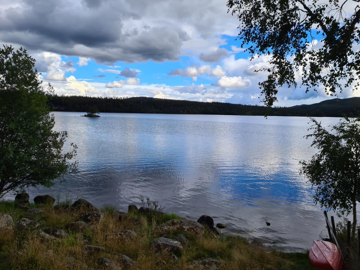 Søndag 23.08.20 Skjerva rundt. Gran Kommune.