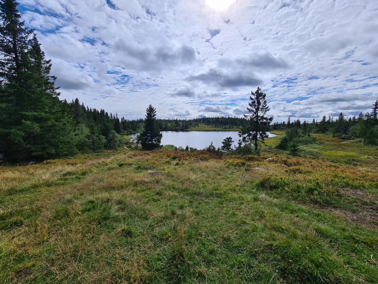 Torsdag 27.08.20 Torsæterkampen. Østre Toten.