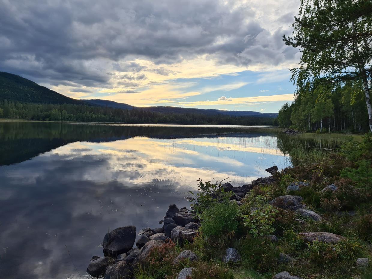 Lørdag 29.08.20 Avalsjøen - Leirsjøen - Helleren. Romeriksåsen.