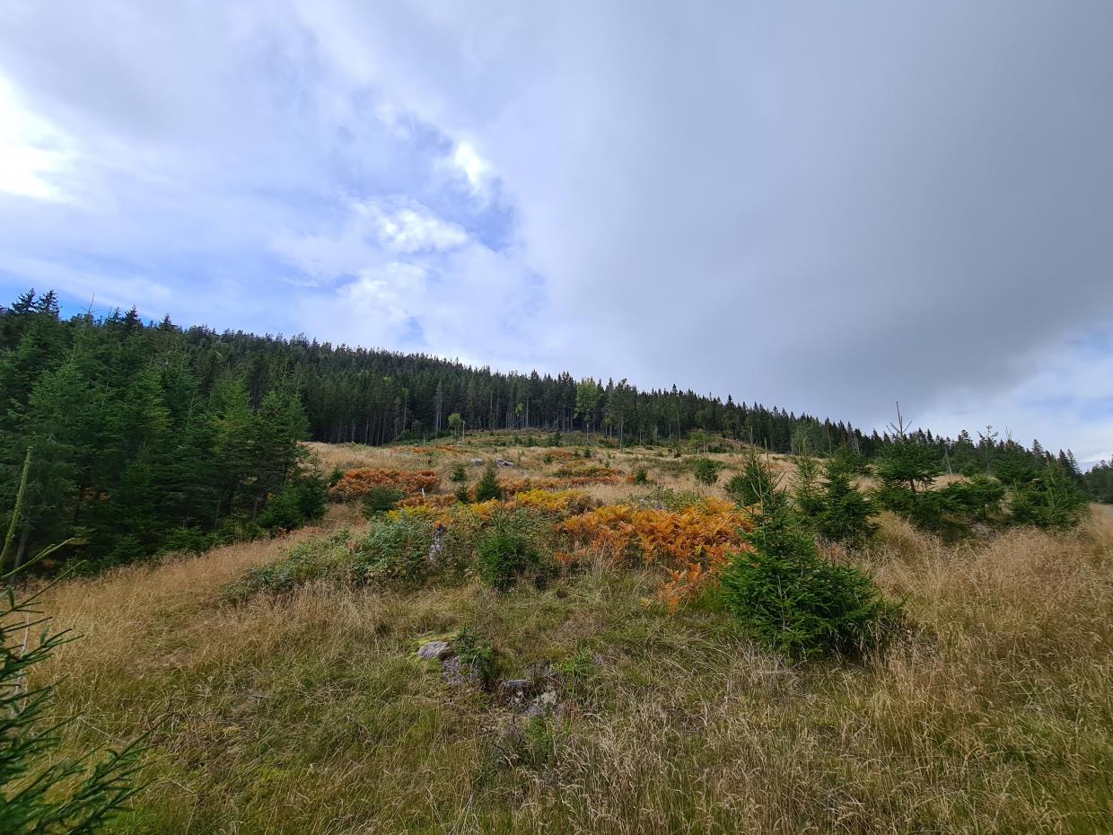 Søndag 06.09.20 Svartbekken - Fjellsjøen - Gjerdingen. Lunner Kommune.