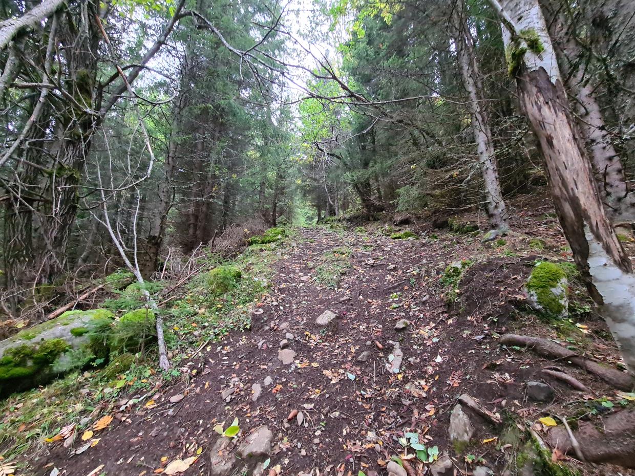 Fredag 25.09.20 Helgehaugen. (Helgjehøgda) Jevnaker kommune.