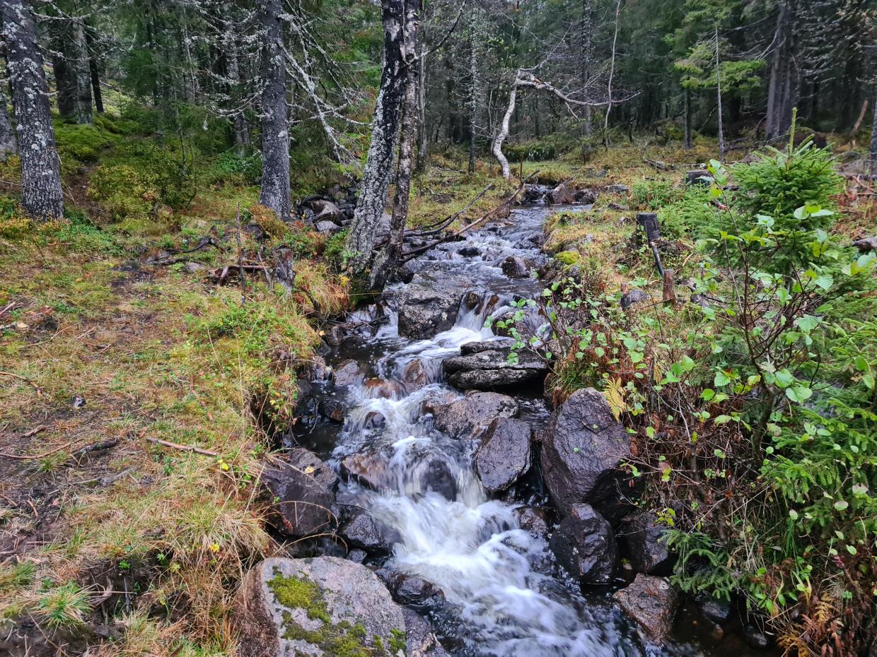 Søndag 04.10.20 Oppdalen - Sætertjernet- Brovoll. Romeriksåsen.