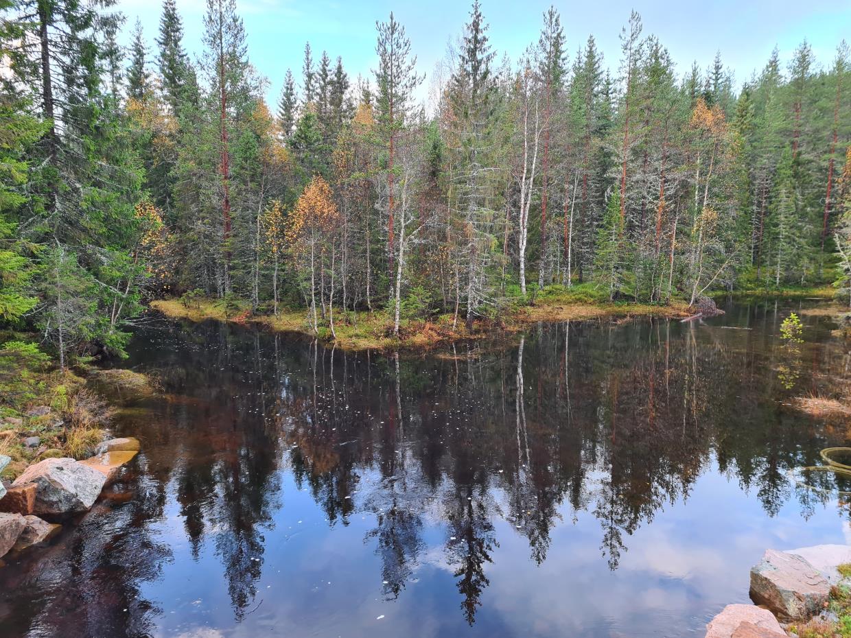 Onsdag 07.10.20 Brovoll - Skotjernfjellet. Romeriksåsen. Lunner Kommune.