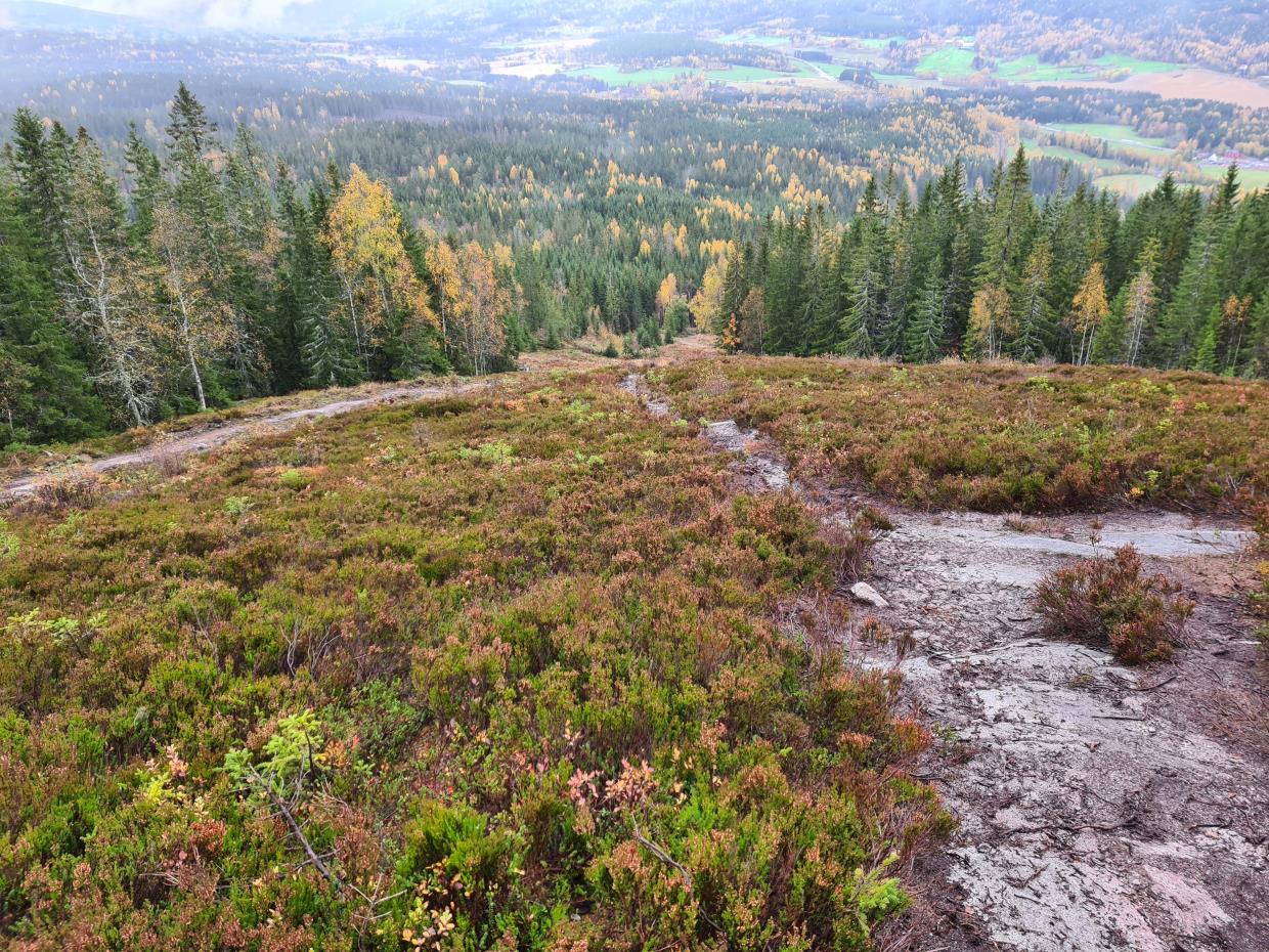 Torsdag 08.10.20 Varingskollen. Nittedal Kommune.