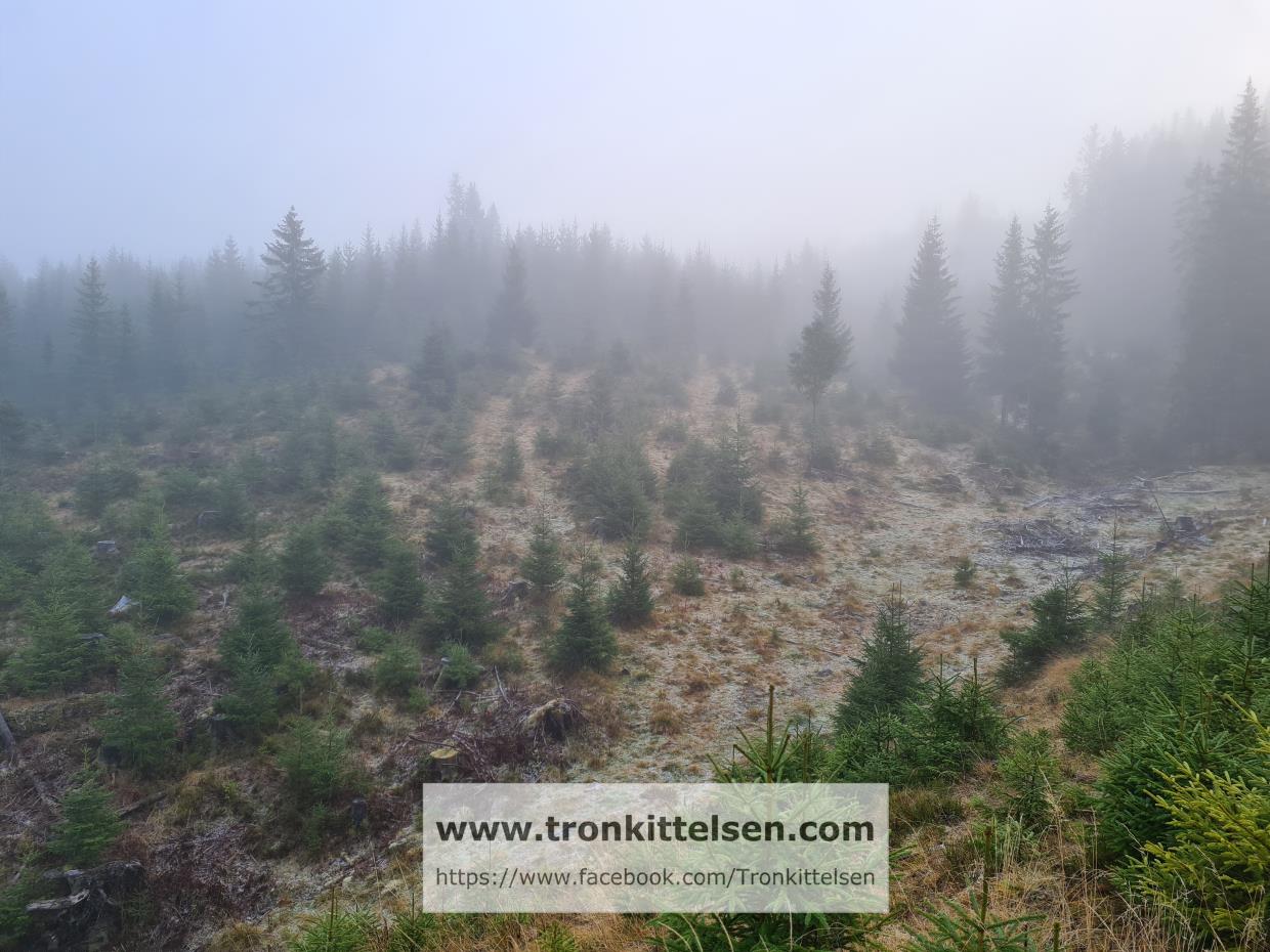 Fredag 30.10.20 Olimb - Myllaområdet. Jevnaker Kommune. Nordmarka Nord.