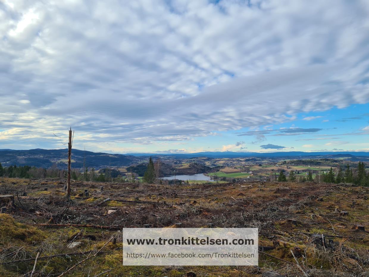 Mandag 02.11.20 Elgsjøen - Storhaugen. Lunner Kommune.