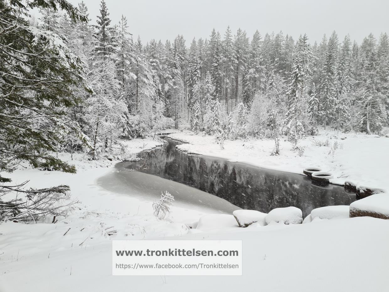 Torsdag 03.12.20 Romeriksåsen. Området Bruvoll. Lunner kommune.