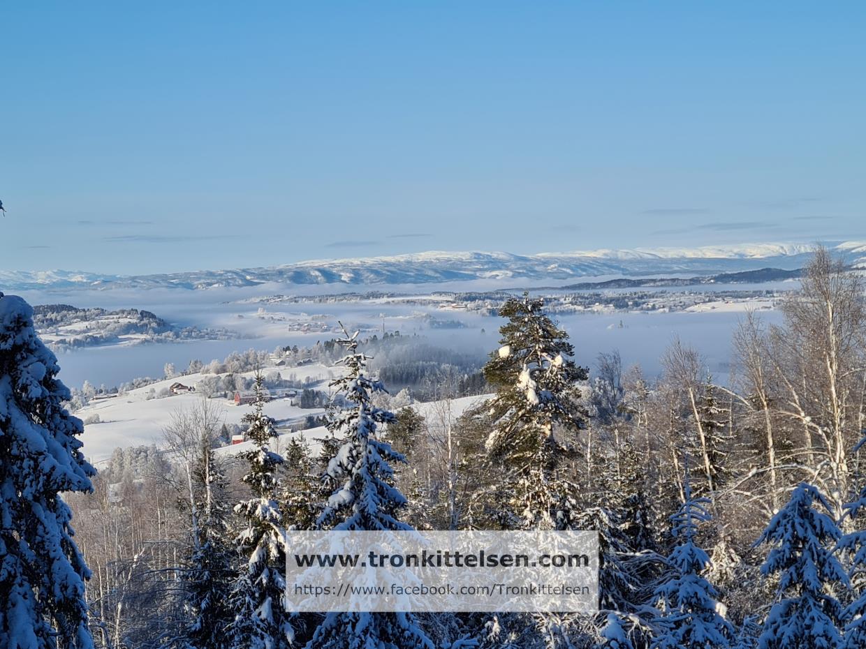 Torsdag 28.01.2021 Søndre Oppdalen. Lunner Kommune.