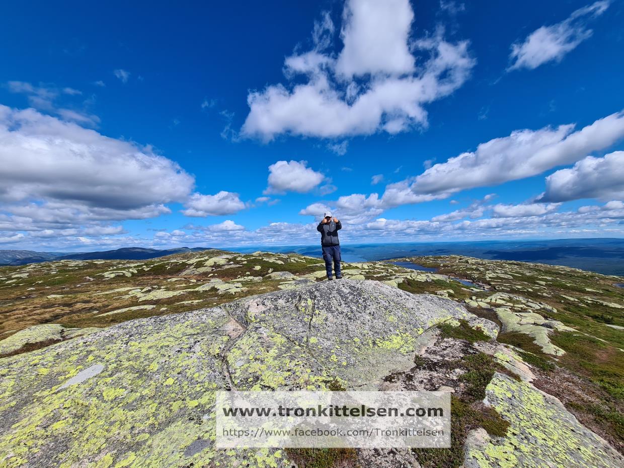 15.06.2021. Vikerfjell - Høgfjell. Ringerike kommune.