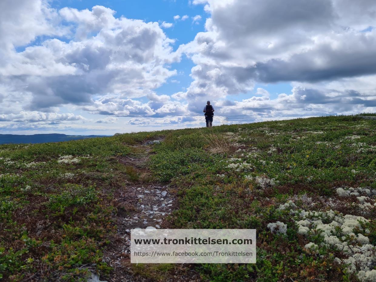 20.07.2021. Skjervungfjellet. Nordre Land kommune.