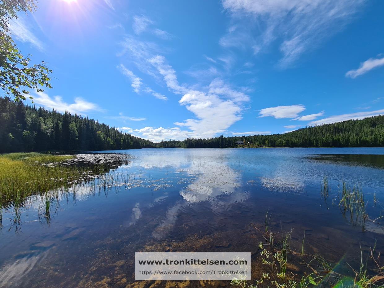 17.08.2021. Super fottur mellom flere vann. Nordmarka.