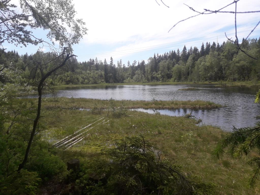 Romeriksåsene syd på langs