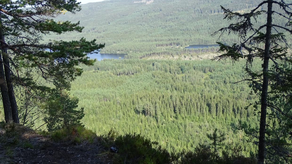 Utsikten Vis à Vis 10 Torprunden Finnskogen