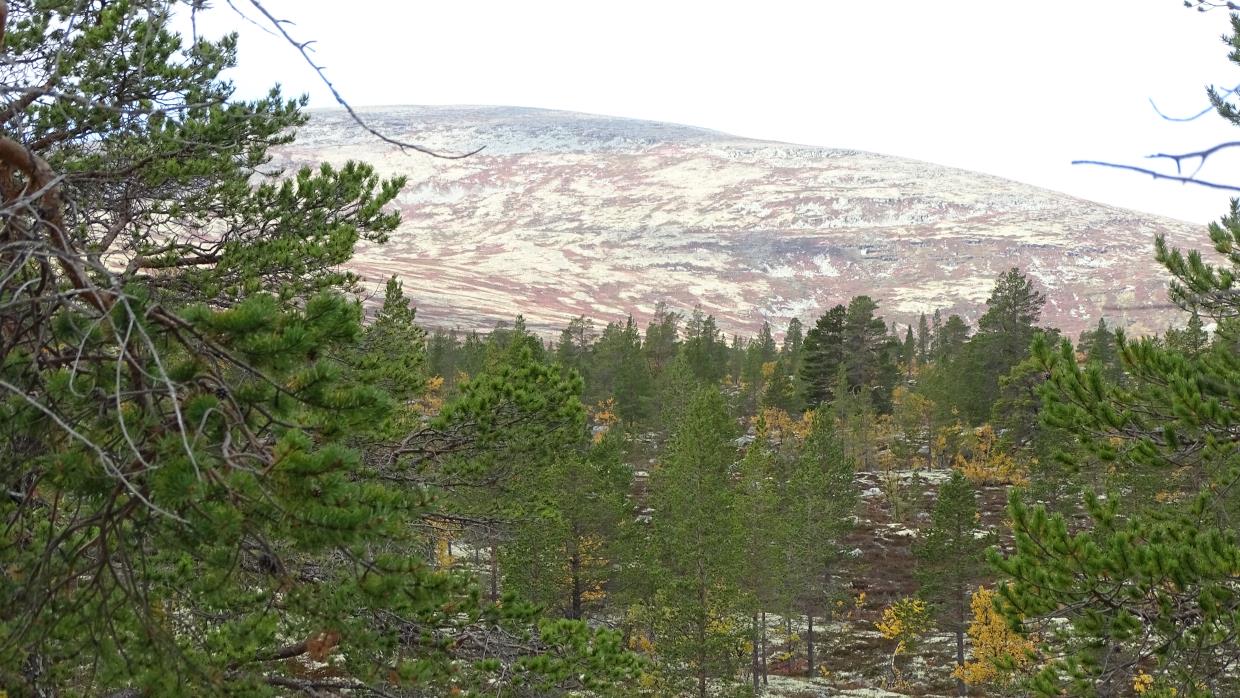 Gloføken - Sømådalen - Høstfjellet