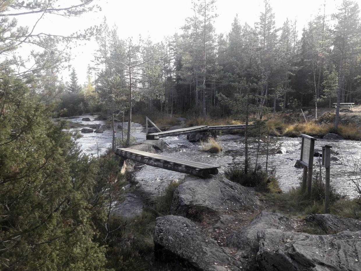 Søndagstur i Gjerdrum allmenning